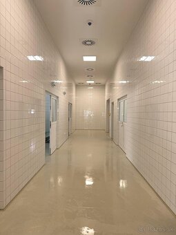 Upratovanie Komárno - 4