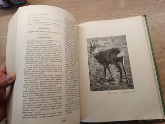 Naše poľovníctvo 1935 - 4