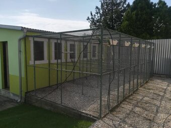 Alexander malý žltý 2025. - 4