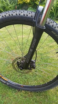 Kellys Spider 50 - 4