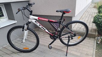 CTM TERRANO 1.0. - 4