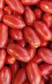 Predaj domácich semienok paradajky - 4