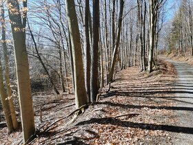 Rekreačný pozemok 5.637 m2, PRIEPASNÉ - Podmlynárová - 4