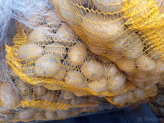 Sadbové zemiaky - 4