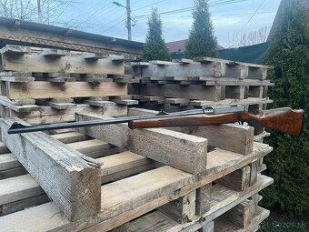 Sauer 202 - 4