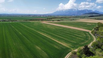 Podhorany – 8.227 m2 ORNÁ PÔDA v podiele 1/1 – Predaj - 4