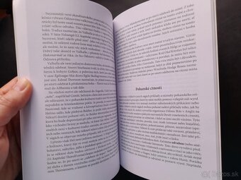 Základní kniha germánského pohanství - 4