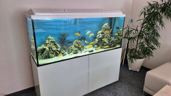 450l akvárium - 4