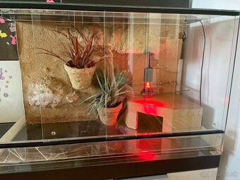 Akvárium - terárium 75x40x50cm - 4