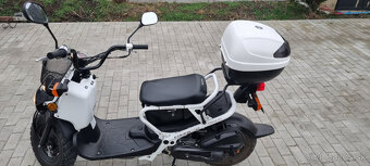 Honda Zoomer NPS50 - Znížená cena - 4