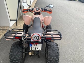 Štvorkolka Dinli 275 - 4