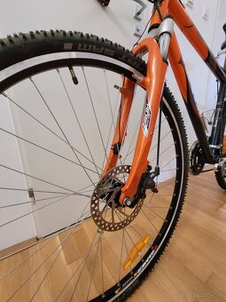 CTM BORA CROSS - 4