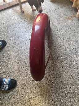Jawa Perak blatník - 4