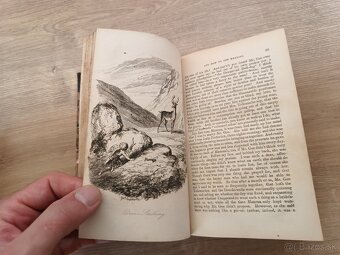 Whom to Marry and how to get married 1854 - 4