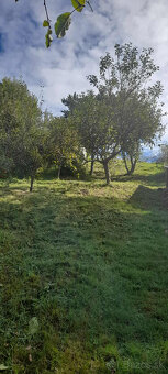 Predám záhradu - 4