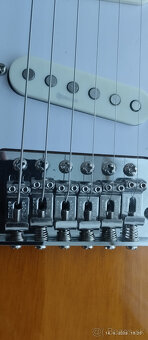 Fender - 4