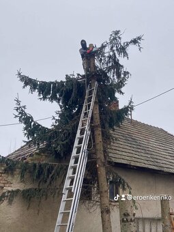 PONÚKAM OREZAVANIE A VÝRUB STROMOV - 4