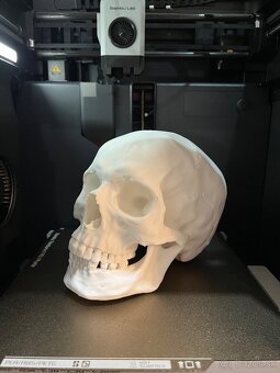Bambulab P1S - 4