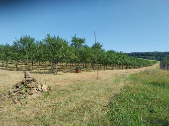 Kosenie,mulčovanie,čistenie pozemkov a záhrad - 4