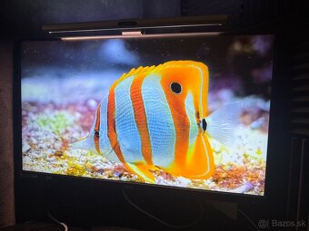 Monitor 4K 144hz 31.5" Acer Nitro Gaming XV322QKKVbmi - 4