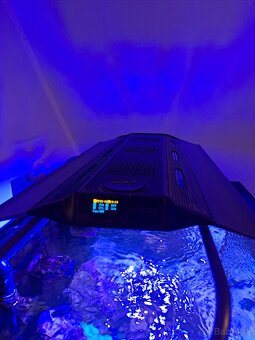 Morské akvarium predaj - 4