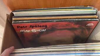 rôzne platne CZ, SK, DE - 4