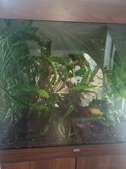 Predám akvárium juwel 200 - 4