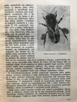 Koloman Novacký: Včelárstvo (1955) - 4