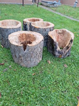 Dutý kmeň na búdky pre vtakov - 4