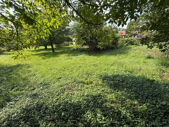 Na predaj stavebný pozemok v obci Trnávka, okres Trebišov - 4