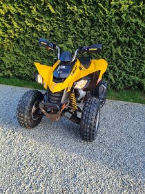 can am ds 250 2015 - 4