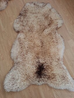 Ovčia kožušina - 4