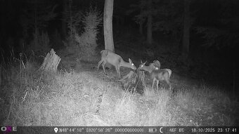 Fotopasca oxe spider 4G - 4