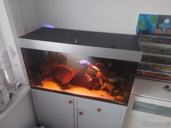 Akvarium+skrinka 360l - 4