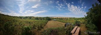 Na predaj dva viničné domčeky s vinicou, Strekov - 4