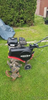 Hecht - 4