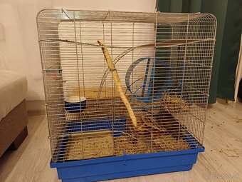 Osmak Degu s kompletnou výbavou. - 4