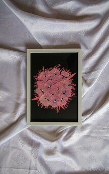 Kvetinové obrazy home made - 4