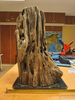 koreň do akvária driftwood - 4