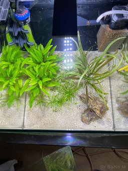Zabehnuté Dennerle Nano Cube 30 L - 4