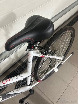 dámsky bicykel - 4