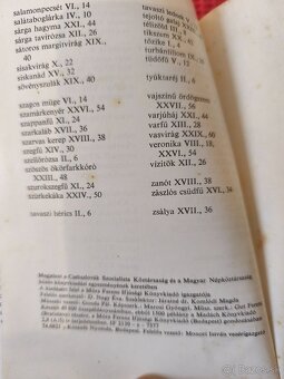 Poľné kvety v maďarčine - 4