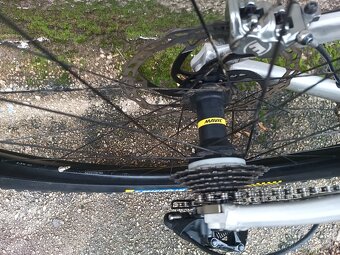 CTM Mons RACE 29" - 4