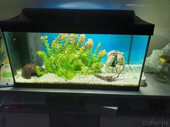 Tetra akvárium set Starter Line 54l - 4