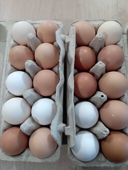 Domáce vajíčka - 4