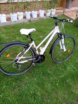 Dámsky bicykel Dema - 4