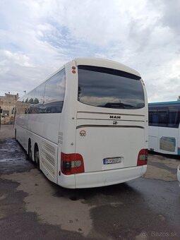 Man lion coach L - 4