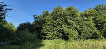 Predaj pozemku 5157 m² – Komárov, okres Bardejov - 4