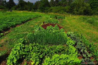 Ponukam brigadu do zahrady - 4