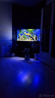 Juwel trigon 350 - 4
